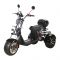 Электроскутер трехколесный CityCoco SkyBoard Trike BR60-3000 PRO